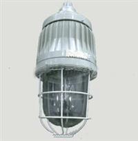 爆炸性环境防爆灯 危险场所防爆节能灯 ​隔爆型防爆灯 隔爆型节能灯 