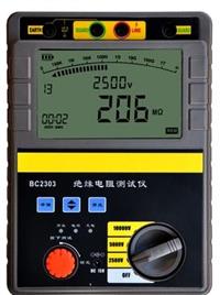 数字绝缘电阻测试仪/双显