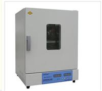 电热恒温鼓风干燥箱微电脑智能型电热鼓风干燥箱超温声光报警电热鼓风干燥