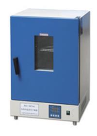 智能型立式电热恒温鼓风干燥箱 数显立式电热恒温鼓风干燥箱 立式电热恒温鼓风干