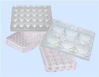 细胞培养板无毒无菌细胞培养板