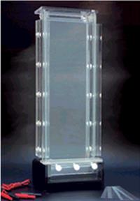 DNA序列分析电泳仪 DNA指纹分析电泳仪 SSCP研究电泳仪