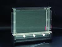 DNA序列分析电泳仪 DNA指纹分析电泳仪 SSCP研究电泳仪