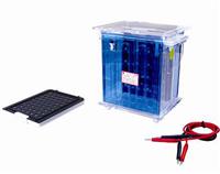 转移电泳仪 大号转移电泳仪