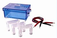 蛋白回收槽 蛋白质回收电泳仪