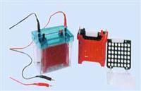 迷你转移槽（注塑）迷你转印电泳仪  高效率转印槽