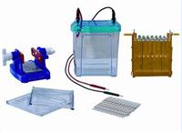 双向电泳仪 一体式双向电泳仪