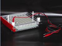 快速凝胶电泳仪多样品DNA电泳仪