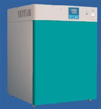 电热恒温培养箱(镀锌）  生物培养箱   化验室作储藏菌种培养箱  
