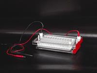 快速凝胶电泳仪  快速凝胶电泳槽  凝胶电泳槽  电泳仪    