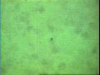 布朗运动观察仪(液体型)