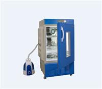 药物稳定性试验箱(发泡)