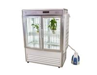 人工气候培养箱(大玻璃箱)