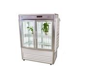 光照培养箱（大玻璃）