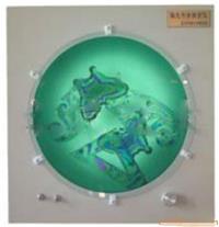 偏振光干涉演示仪 物理教学仪器